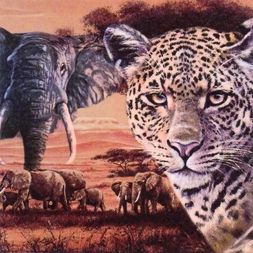 20 Servietten Safari Collage - Afrikas wilde Tiere 33x33cm