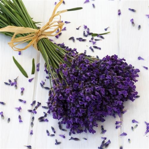 20 Servietten Lavender - Lavendel auf Holz 33x33cm