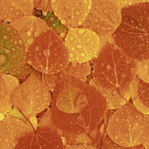 20 Servietten Rainy Leaves - Regentropfen auf Herbstblätter 33x33cm