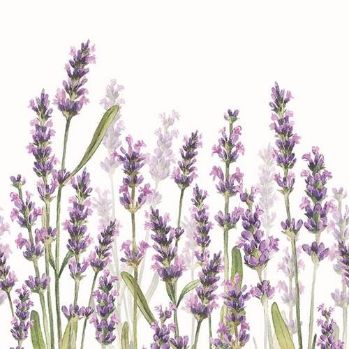 20 Servietten Lavender Shades white - Lavendelwiese blüht auf 33x33cm