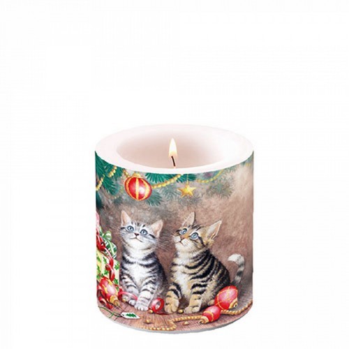 Kerze rund klein Magic of Christmas - Katzen bewundern den Weihnachtsbaum Ø7,5cm, Höhe 9cm