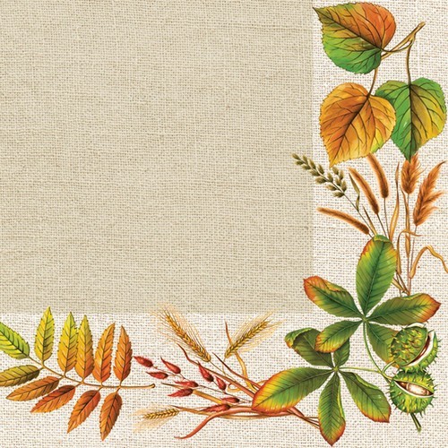 20 Servietten Autumn Leaves Frame - Bordüre an Herbstblätter 33x33cm