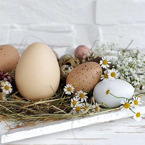 20 Servietten Pastel Eggs - Natürliches Osternest 33x33cm