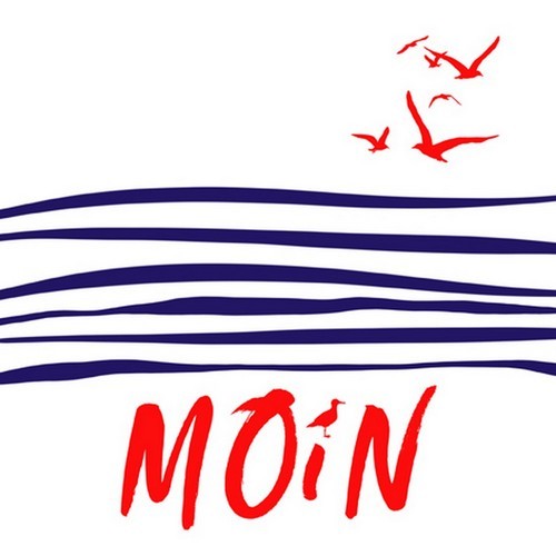 20 Servietten Moin - Möwen an Moin 33x33cm