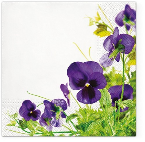 20 Servietten Pansies Frame - Stiefmütterchen in der Blumenwiese 33x33cm