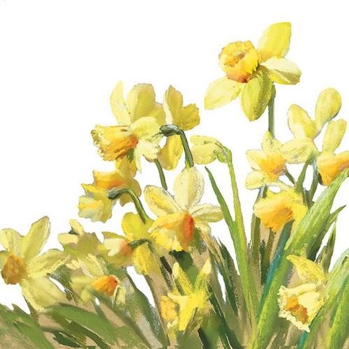 20 Servietten Golden Daffodils - Gelbe Narzissenwiese 33x33cm