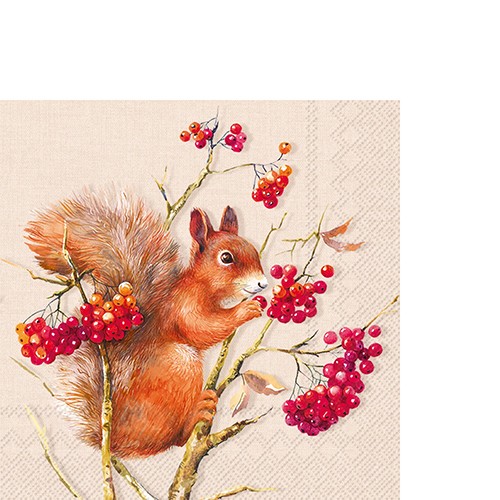 20 small cocktail napkins Tammy cream - squirrel finds berries 25x25cm