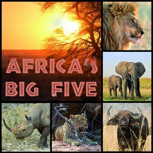 20 Servietten Africas Big Five - Afrikanische Tiere 33x33cm