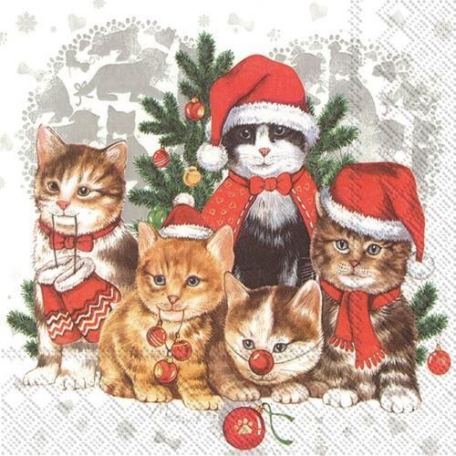 20 Servietten Cats-Mas - Katzen in Weihnachtsstimmung 33x33cm