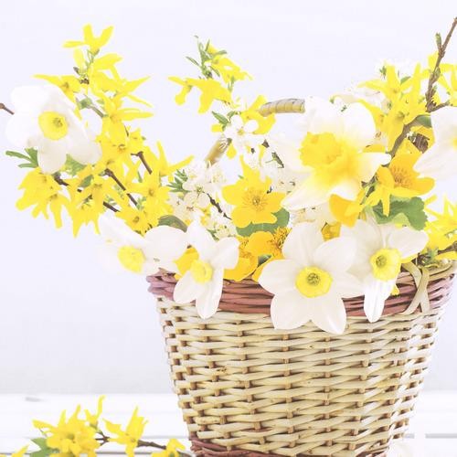 20 Servietten Daffodil Basket 33x33cm