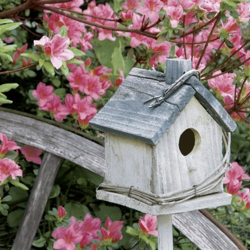 20 Servietten Spring Birdhouse - Vogelhaus im Frühjahr 33x33cm