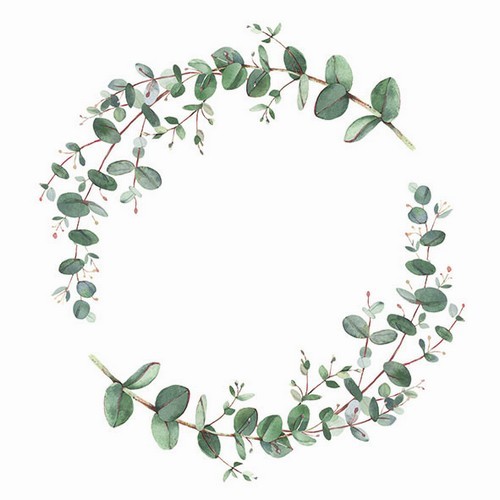 20 napkins Eucalyptus Branch white - wreath with eucalyptus 33x33cm