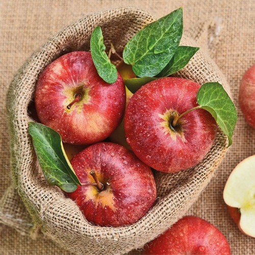 20 Servietten Apples - Äpfel von der Ernte 33x33cm