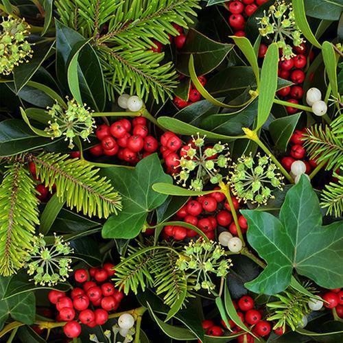 20 Servietten Berries and Plants - Versteckte Winterbeeren 33x33cm
