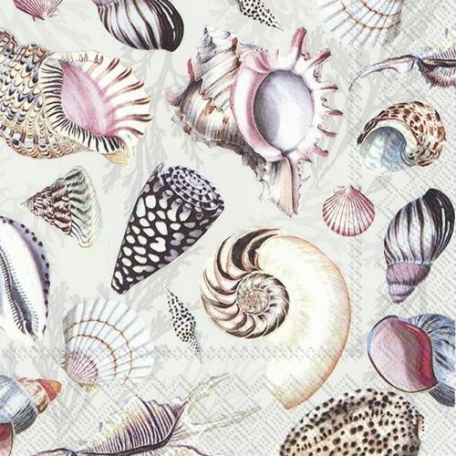 20 Servietten Shells of the Sea nature - Muschelarten 33x33cm