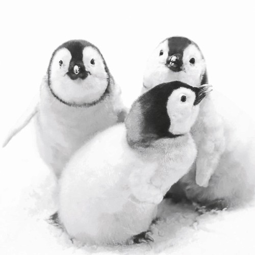 20 Napkins Penguin Friends - Penguin friends 33x33cm