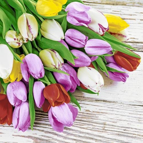 20 Servietten Bunch of Tulips – Tulpenstrauß auf Holz 33x33cm