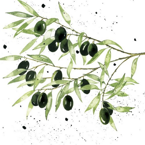 20 Servietten Olives - Grüne Oliven an Zweige 33x33cm