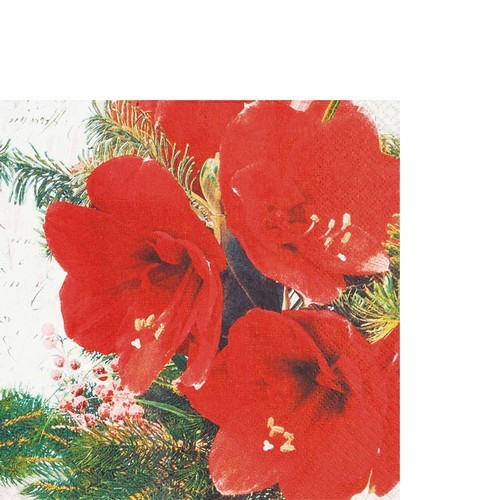 20 small cocktail napkins Red Amaryllis - Red amaryllis flowers 25x25cm