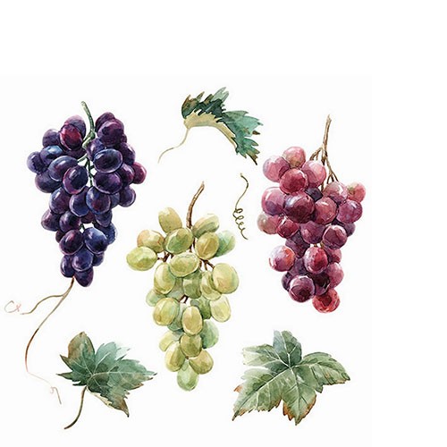 20 kleine Cocktailservietten Wine Grapes - Frische Weintrauben auf weiß 25x25cm