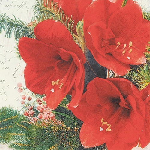 20 Servietten Red Amaryllis - Rote Amaryllisblüten 33x33cm