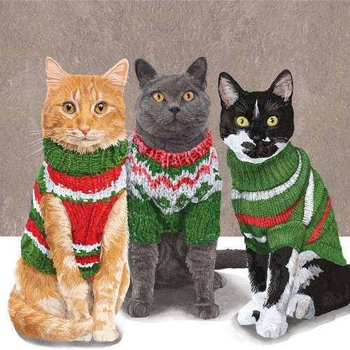 20 Servietten Sweater Cats - Katzen in Pullover 33x33cm