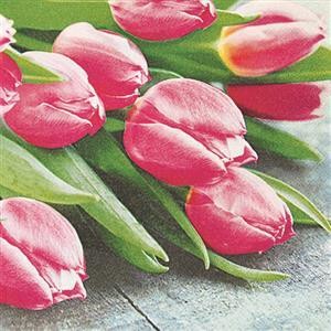 20 Servietten Pink tulips - Pinkfarbene Tulpen 33x33cm