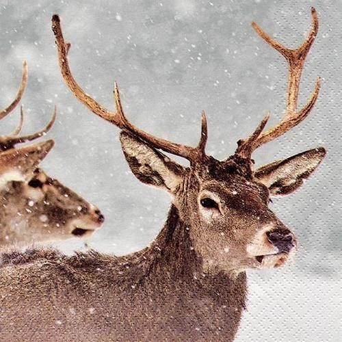 20 Servietten Red Deers in Winter Scene 33x33cm