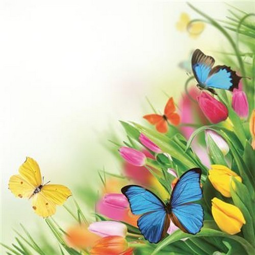 20 Servietten Tulips & Butterflies - Schmetterlinge an Tulpen 33x33cm