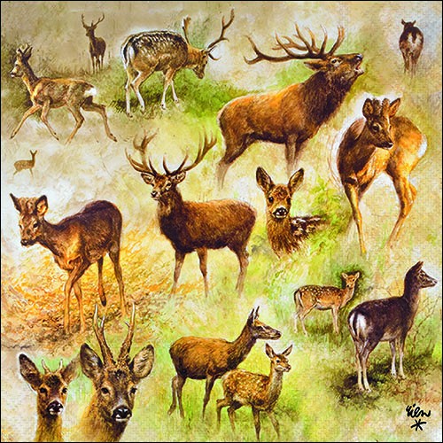 20 Servietten Collage of Deers - Collage an Hirsche und Rehe 33x33cm