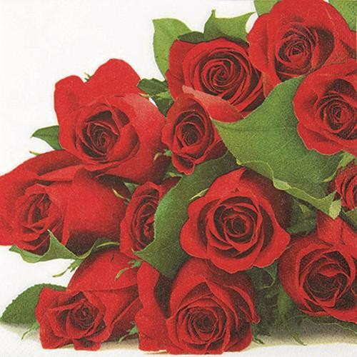 20 Servietten Bunch of Roses - Unzählige rote Rosen 33x33cm