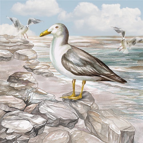 20 Servietten Seagull on the Shore - Möwe auf Steine 33x33cm