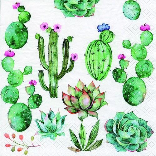 20 Servietten Cactus & Succulents 33x33cm