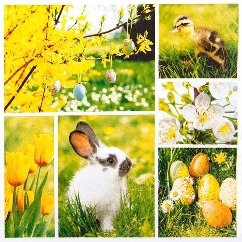 20 Servietten Easter Collage - Collage für den Frühling 33x33cm