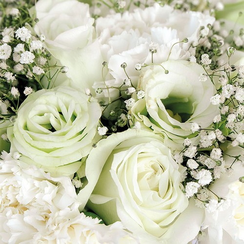 20 Napkins Roses Bouquet - White roses 33x33cm