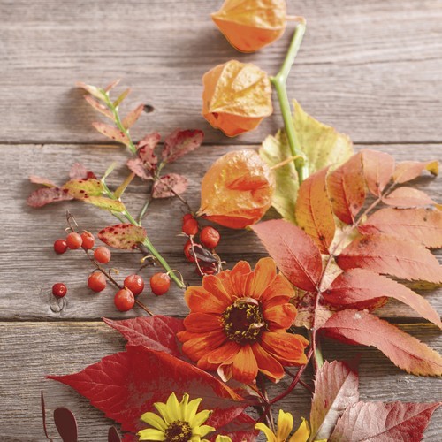 20 Servietten Fruity Florals - Herbstfrüche an Blätter 33x33cm
