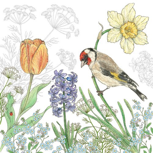 20 Napkins Printemps avec fleurs - Bird on painted meadow 33x33cm