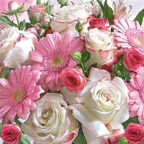 20 Napkins Gerberas & White Roses - Gerberas and white roses 33x33cm