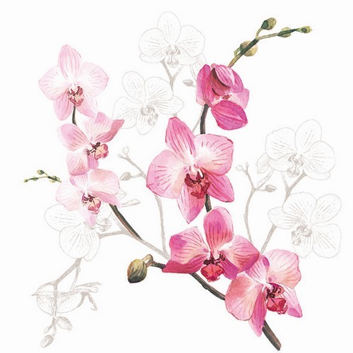 20 Servietten Orchid - Orchideenzweig 33x33cm