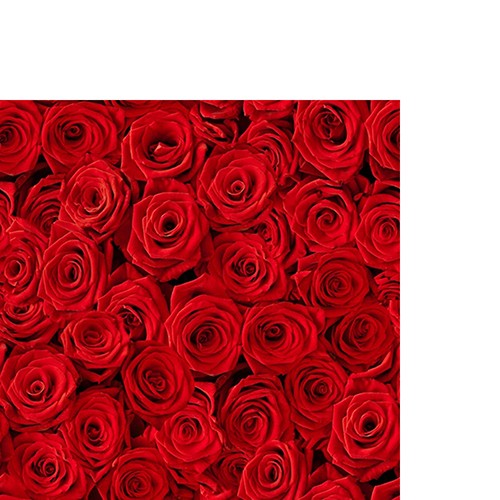 20 kleine Cocktailservietten Beaucoup de Roses - Rotes Rosenbett 25x25cm