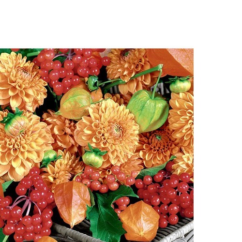 20 kleine Cocktailservietten Flowers & Fruits - Blumen und Früchte vom Herbst 24x24cm