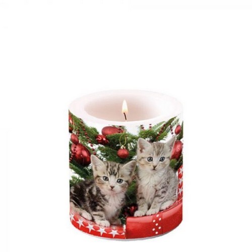 Kerze rund klein Christmas Kitten - Katzen an Christbaumschmuck Ø 7,5cm, Höhe 9cm