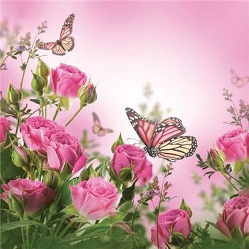Daisy Servietten Roses & Butterflies 33x33cm