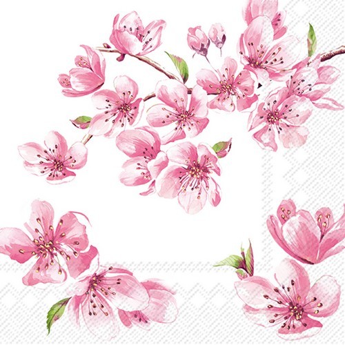 20 Servietten Sakura rose - Zierliche Kirschblüten 33x33cm