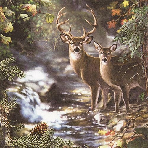 20 Servietten Deers on a creek - Hirsche am Bach 33x33cm