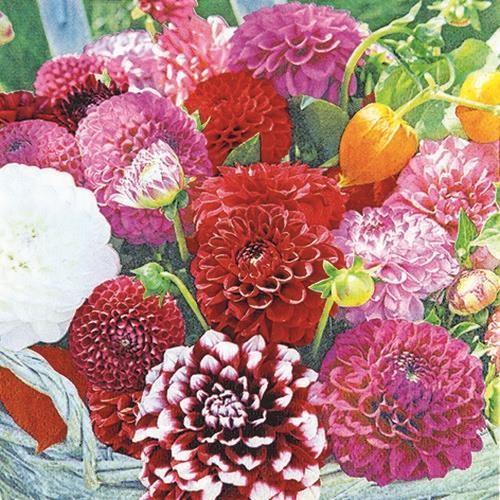 20 Napkins Dahlia Basket - Dahlias in basket 33x33cm