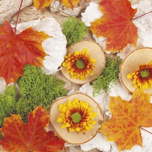 Daisy 20 Servietten Autumn Composition With Maple Tree Leaves 33x33cm