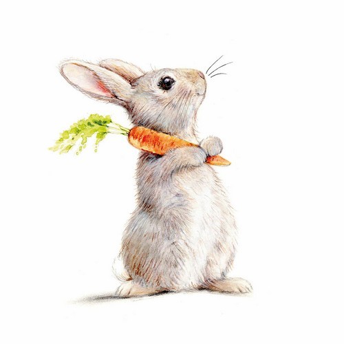 20 Servietten Rabbit & Carrot - Niedlicher Hase mit Karotte 33x33cm