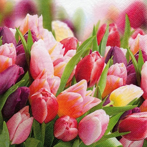 20 Servietten Pink & Violet Tulips - Tulpen in rosa und rot 33x33cm