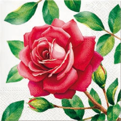 20 Servietten Special Rose - Rote Rose und Blätter 33x33cm